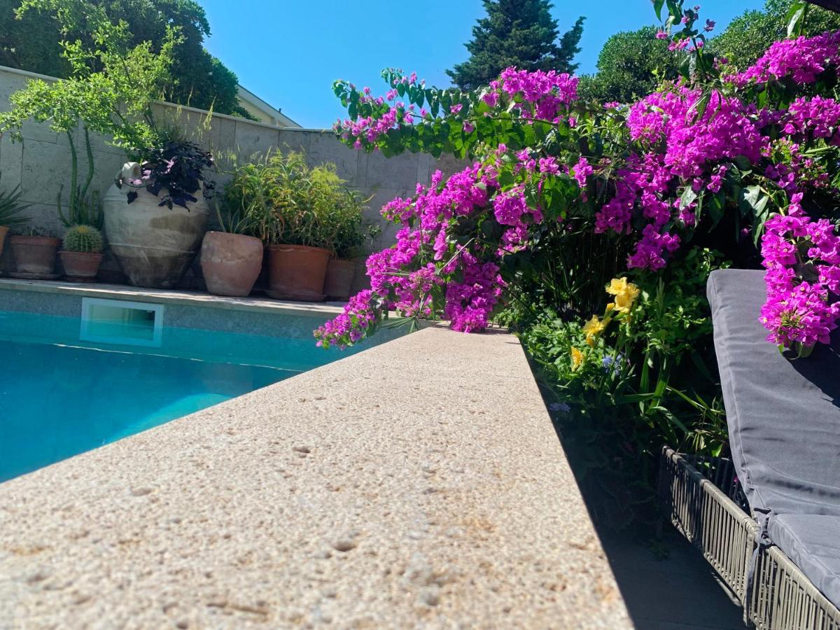 Luxury Pool Central Makarska Apartment By Maryn Dış mekan fotoğraf